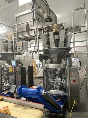 Wepack Dual Bagger with Rotary Scales