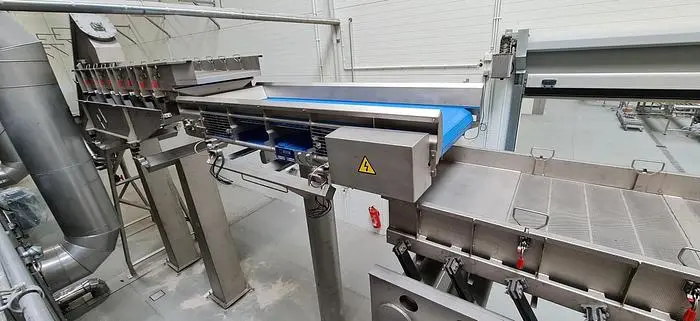 Used 2020 URTASUN TECNOLOGÍA ALIMENTARIA _UNKNOWN_ Conveyors | UCY Industrial GmbH #386119