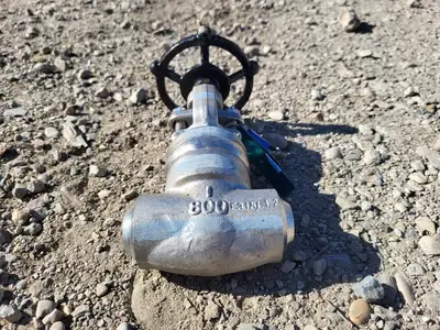 1" Class 800 Globe Valve API 602