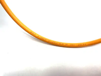 New | in-Stock BELDEN, LUMBERG AUTOMATION CONNECTION CABLE M12 4-PIN M/F 0.6M Cable & Wire Michigan US | Maverick Industrial Sales #1092364