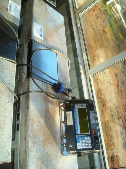 15kg Bizerba Digital Scale Type ST-EXC