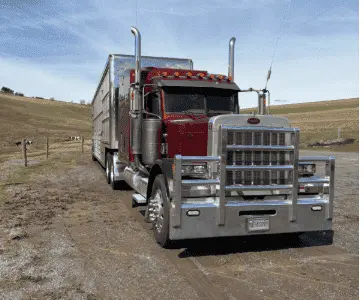 Used PETERBILT 379 Conventional trucks Pennsylvania US | Trustworthy Equipment #1403459