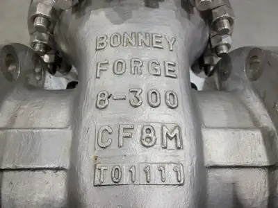 8" Class 300 Gate Valve B16.34