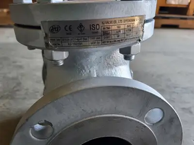 3" Class 150 Check Valve B16.34