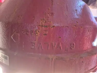 Containerized Foam Fire Suppression System w/ Deluge Valve, Potter Controls & Piping Manifold