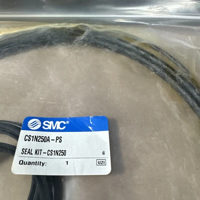 NEW SMC CS1N250A-PS