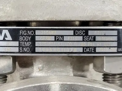 3", Class 150, Check Valve, B16.34