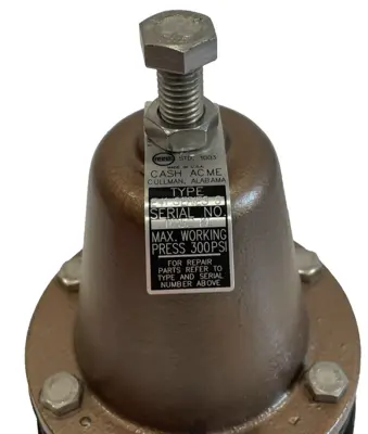 NEW CASH VALVE E-41 PRESSURE REGULATOR 1 NPT 20-70 PSIG SER. 3 E41