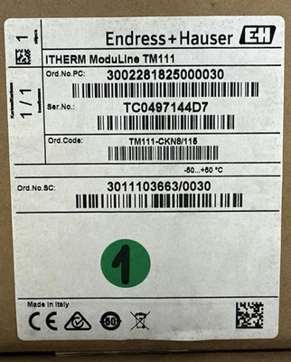 NEW Endress+Hauser TM111-CKN8/115