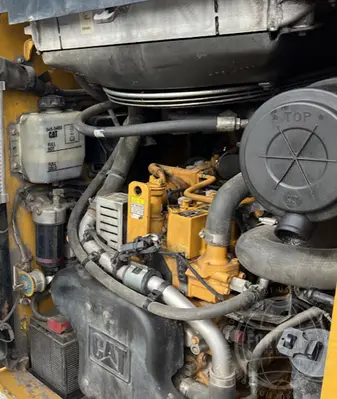 Used 2019 CATERPILLAR 246D Skid Steer Loaders Tennessee US | Forklift Exchange #1274756