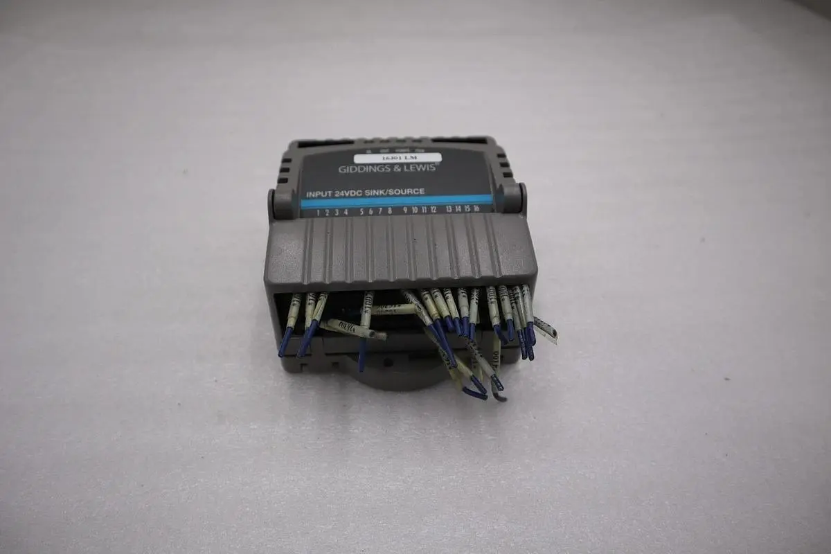 Giddings & Lewis M.1300.7372 R1 Input Module 24VDC SINK/SOURCE STOCK 5166A