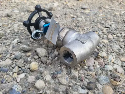 2019 3/4" Class 800 Gate Valve API 602