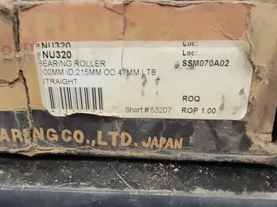 Cylindrical Roller Bearing NU320
