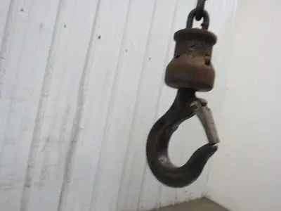 CM 1 Ton Manual Chain Fall Hoist 2000 Lbs. 28' Travel 17' Pendant Chain