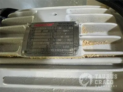 Used 2019 E-CHAIN ECT-48S ANGULAR DOUBLE END-TENONER LINE Woodworking Tenoners Ontario CA | Taurus Craco Machinery Inc #1314188