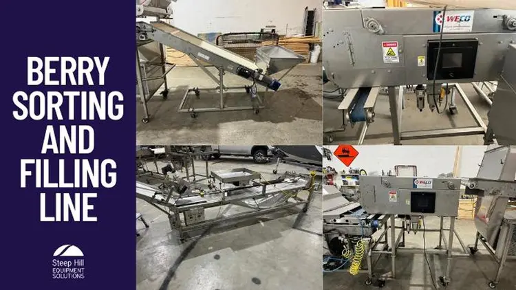 Used WECO / WEIGHRIGHT / A&B BERRYTEK TWO-VIEW COLOR/SOFT SORTER Volumetric Fillers British Columbia CA | Steep Hill Equipment Solutions #774391