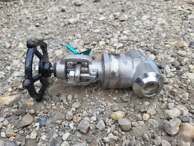 1" Class 800 Globe Valve API 602