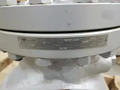 8" Class 300 Check Valve API 594