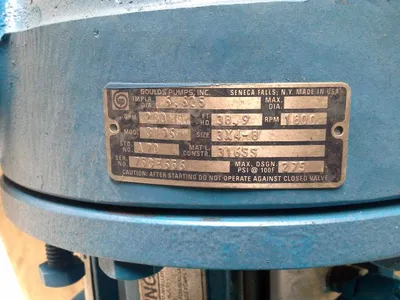 USED Goulds 3196 MTX
