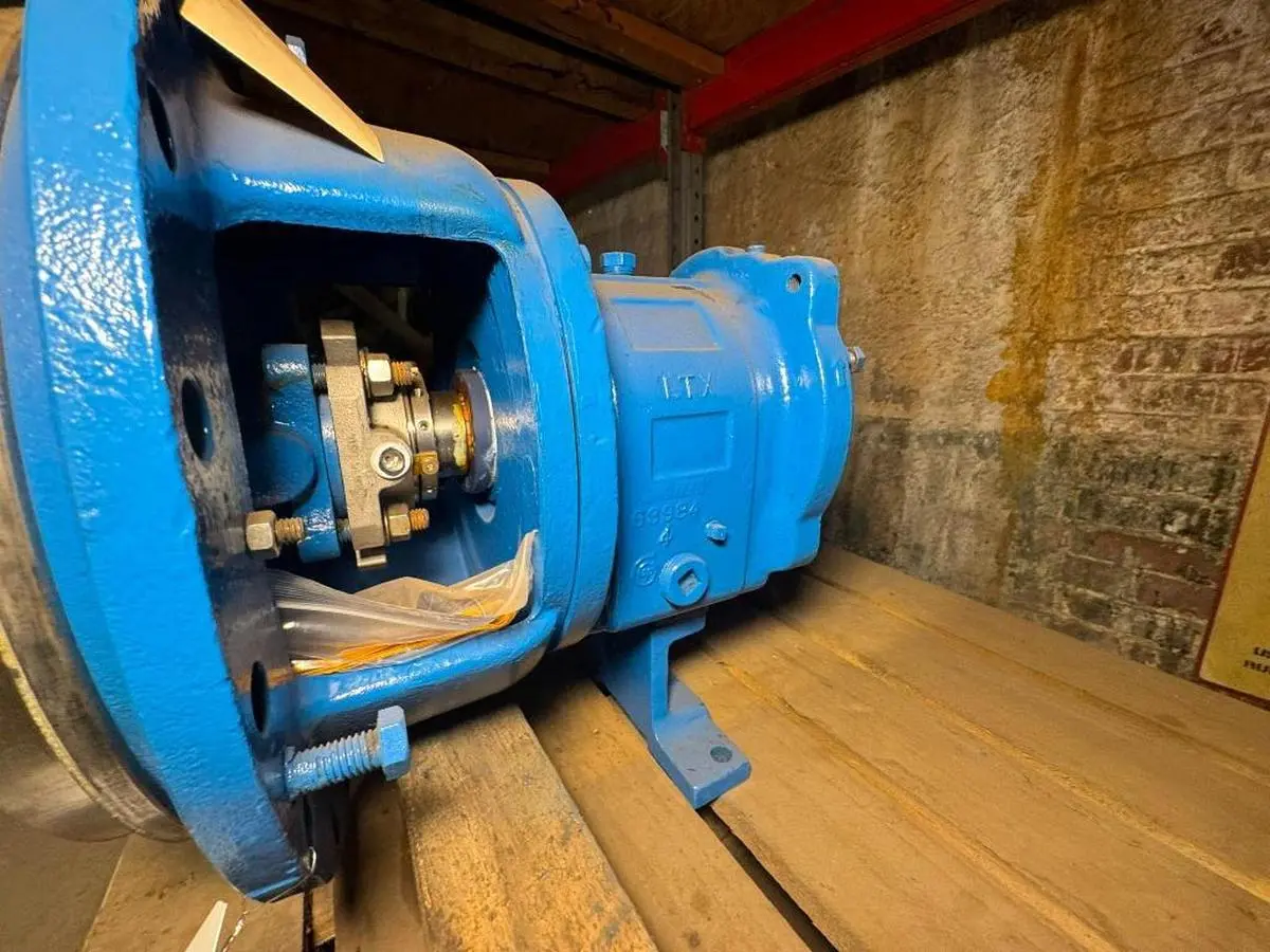 USED GOULDS 3196