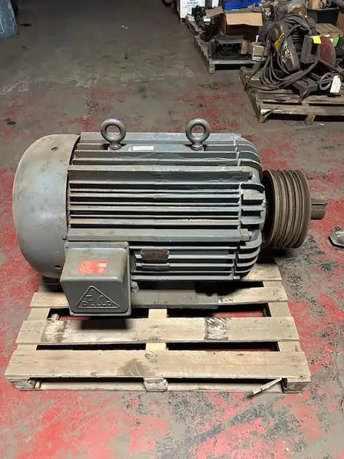 USED DELCO SQUIRREL CAGE