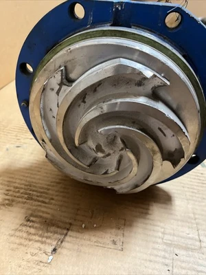 USED Goulds 3196