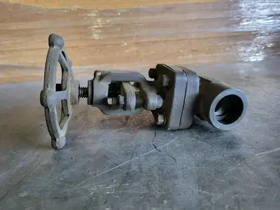 1" Class 800 Globe Valve API 602