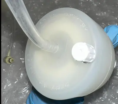 BD BIOSCIENCES FILTER FLOW