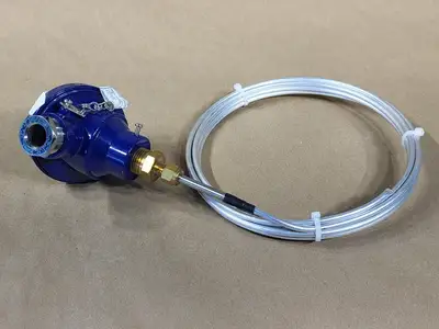 12' Averaging RTD Sensor