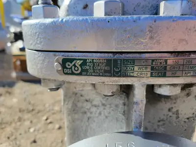 NEW DSI VALVES 37 XUF