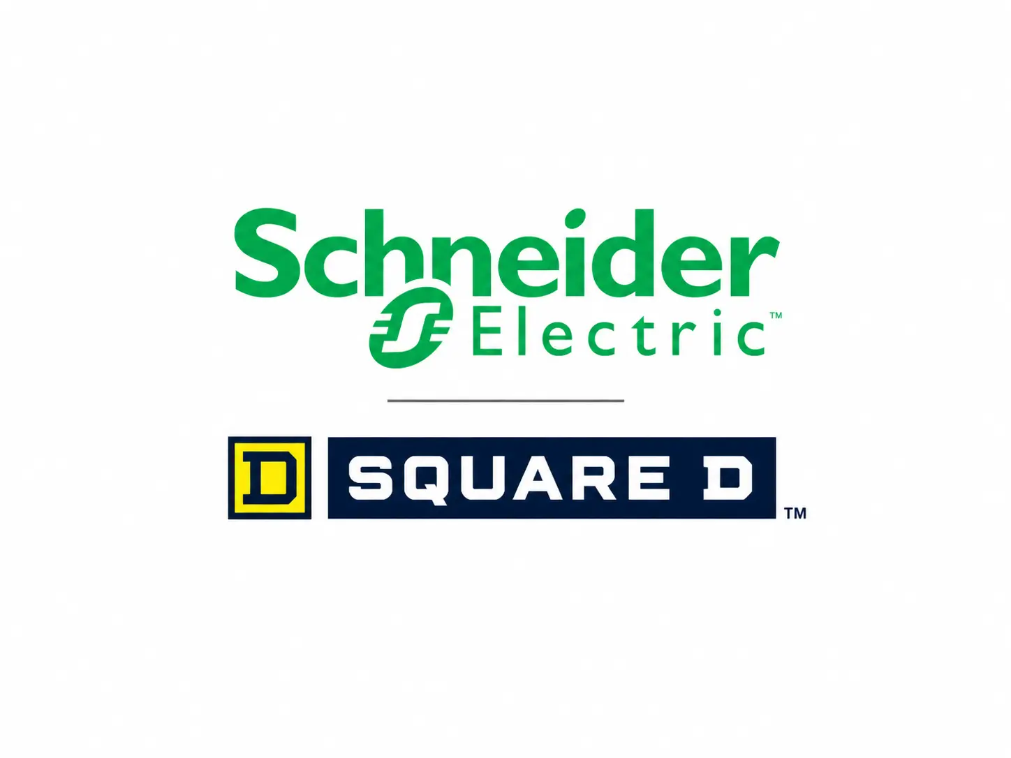 Schneider Electric / Square D logo