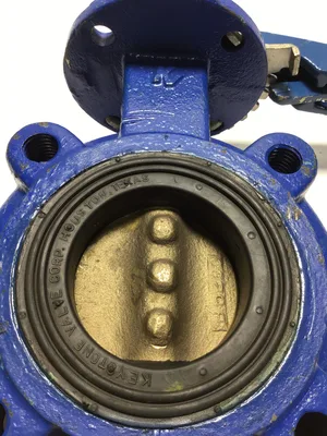 Keystone 2.5″ Valve Iron Lugged Butterfly Valve
