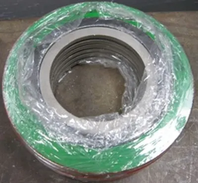QTY. 6. 3S 2" 300/600 VALVE / FITTING GASKET MO/FG...