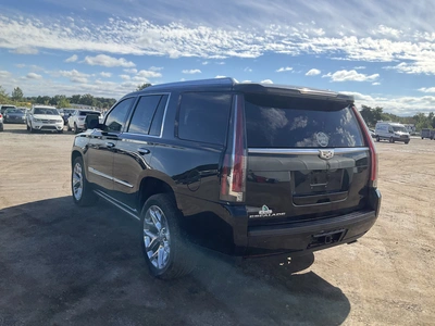 Used 2017 CADILLAC ESCALADE SUVs Michigan US | Miedema Asset Management Group #1461304