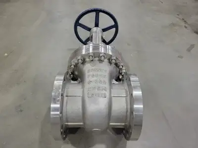 8" Class 300 Gate Valve B16.34