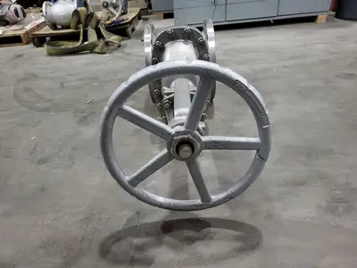 10" Class 150 Gate Valve B16.34