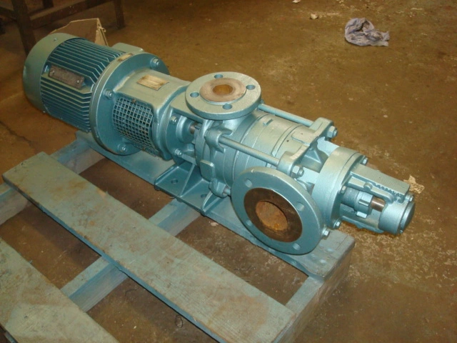 Graham Pump Am250/1/La/10/M