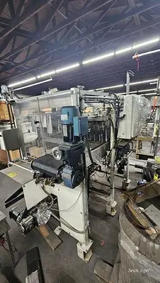 Hartness Lowering Head Case Packer