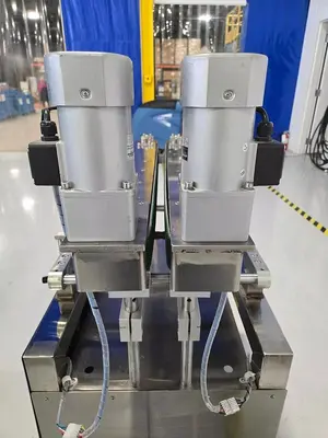 Packing Machinery Stainless Transfer conveyors - 3 available