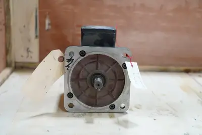 Induction Motor (YSJ2-80-4TH)