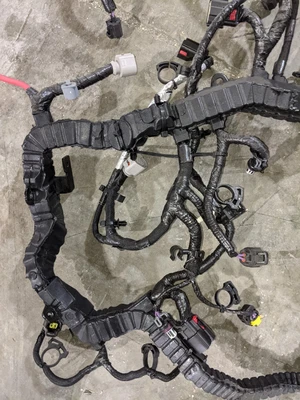 International Harness 7092671C92