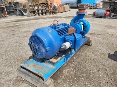 USED GOULDS 3196