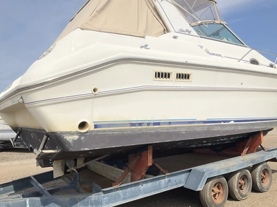 Used 1994 SEARAY SUNDANCER 330 Boats (Misc) Michigan US | Miedema Asset Management Group #1324286