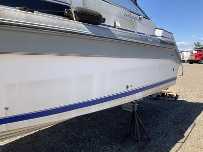 Used 1988 SEA RAY SORRENTO 25 Boats (Misc) Michigan US | Miedema Asset Management Group #1384746