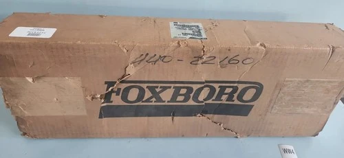 NEW Foxboro DM400YT