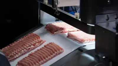 Nantsune Model CM-230 Scorpion Automatic Slicer and Dishing Robot