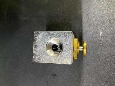 Waukesha Button Valve PN 117864