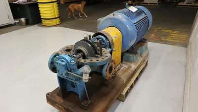 USED Goulds 3316