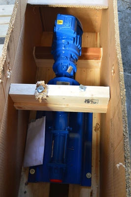 25 LPM S/S New Mono Pump Type C22-RMB