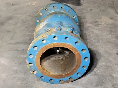 10" Class 300 Flanged Check Valve B16.34